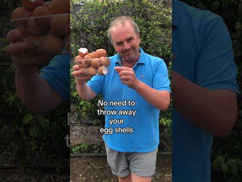 Egg shells to improve your soil #growyourgroceries