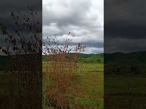 Rio doce Minas gerais....🥰🥰