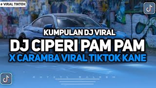 Download lagu KUMPULAN DJ JEDAG JEDUG VIRAL TIKTOK || DJ CIPERI PAM PAM X CARAMBA FULL BASS MENGKANE mp3