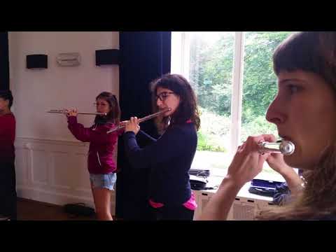 Neflac Zomeracademie 2017