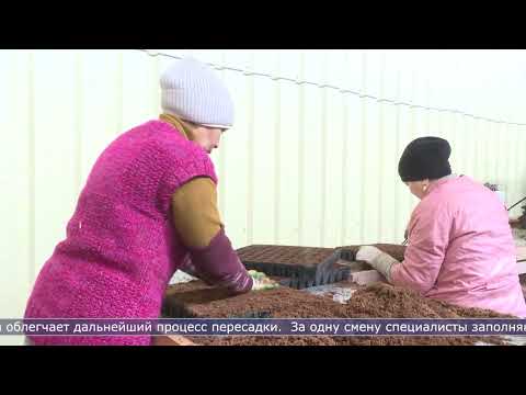 03.04.2026 На Сахалине стартовала малая посевная