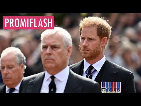 Darum soll Prinz Harry Andrew angeblich geschlagen haben