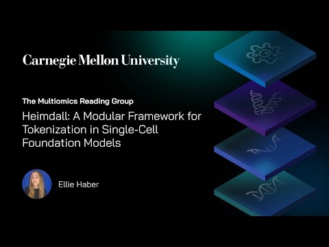 Heimdall: A Modular Framework for Tokenization in Single-Cell Foundation Models | Ellie Haber