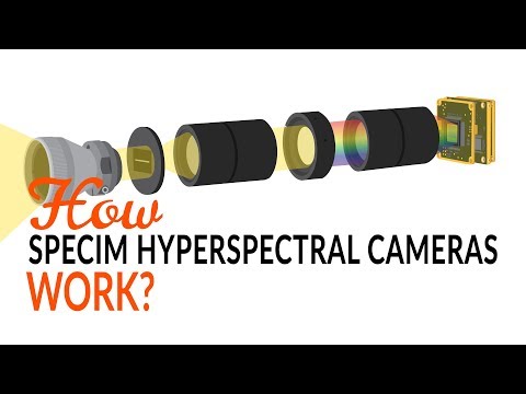 image-What are hyperspectral cameras used for?