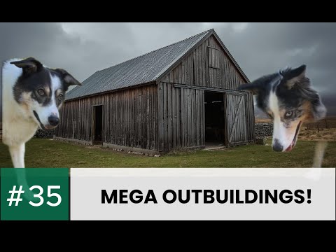 Space For The Dogs… But Is It A Money Pit? (Episode 35)