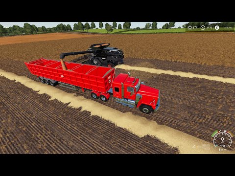 Chellington Valley (FA) - Road to Cows 10 * Planting Miscanthus & Harvesting Linseed * FS 19