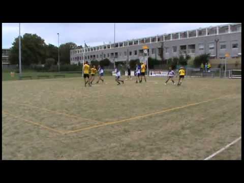 DIE HAGHE - De Meervogels alle doelpunten