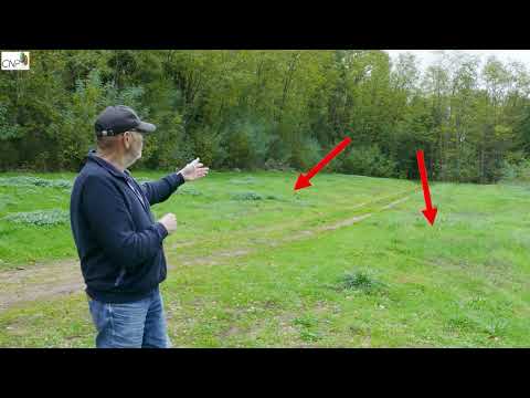 Planting a poplar plantation