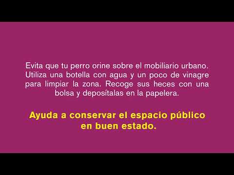 Campaña de concienciación para los dueños de perros II