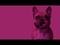 Campaña de concienciación para los dueños de perros II