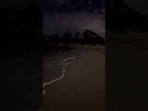 Tonight’s view: walking along Balmoral Beach, Mosman, Sydney, hot chocolate in hand #shorts