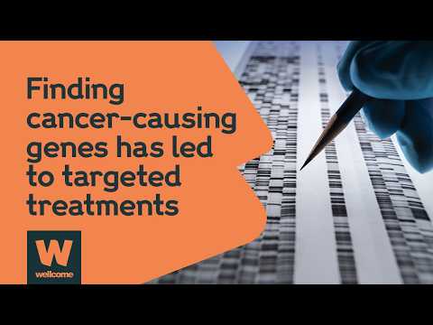 Decoding cancer: how genomics is transforming treatment | Wellcome