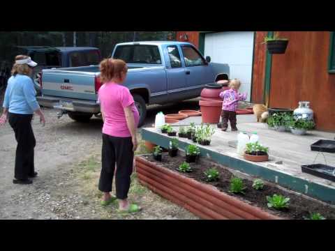 Piper, Chico and the Gypsies