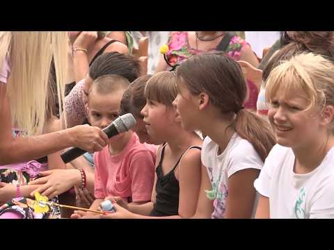 Boja meda ep.96 - 07.01.2020. - Kranjska ili siva pčela....