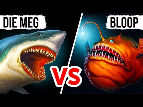 Megalodon: Fakt oder Fiktion? Die Erforschung des Vermächtnisses des Urzeithais