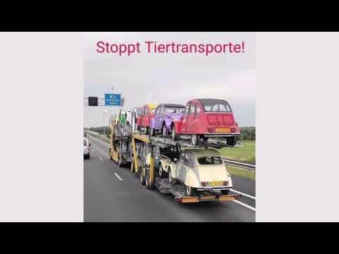 Willys Humor - Folge 0529