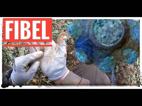 "Fibeln (1)" - Sondelpädagogik 5 - 500 Abonennten Special - Sondengängerwissen