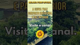 CHUVA TRAZ CONFORTO #rain #rainsounds