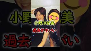 【衝撃】小野田紀美の過去を調べたらヤバかった