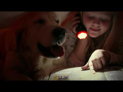 Monge pet food "Distant but United"