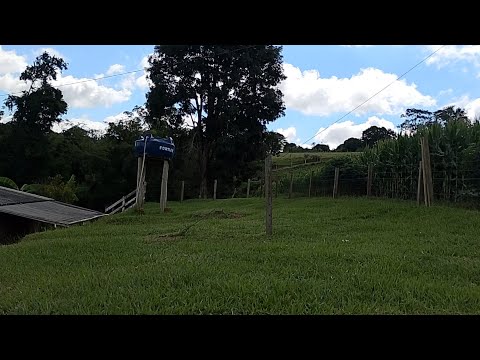 Sítio à Venda – , Japira-PR 🌿📍 Localização privilegiada: $R 320 mil