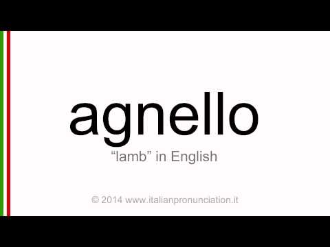 Correct italian pronunciation of agnello, lamb
