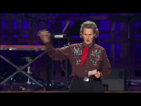 Dr.Temple Grandin: Thinking in Pictures