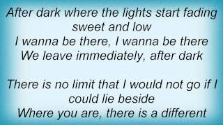 Bee Gees - After Dark Lyrics_1