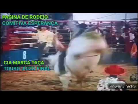 EDVALDO ANCELMO (IN MEMORIA) TOURO JUIZO FINAL CIA MARCA TAÇA.