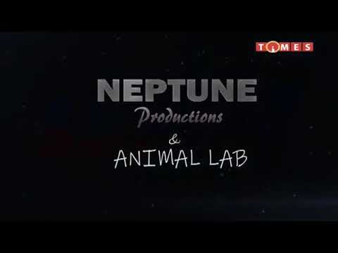 ANANSI 7 AUGUST 2021