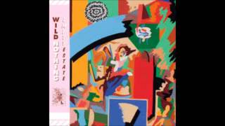 Wild Nothing - Ocean Repeating (Big-Eyed Girl)