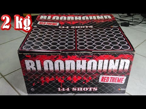 download lagu mp3 mp4 Lesli Bloodhound, download lagu Lesli Bloodhound gratis, unduh video klip Lesli Bloodhound