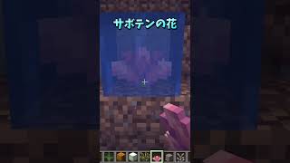このブロックは水中に置ける？🙄 #Shorts #マイクラ検証 #マイクラトリビア