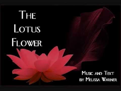 The Lotus Flower - Melissa Warner