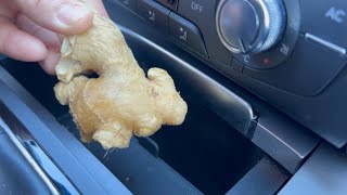 Having 1 ginger in your Car  Could Save Your Life and Nobody Told You