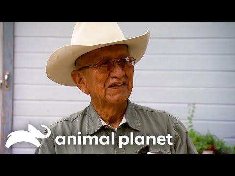 Bigfoot Tracks Found In Nepal | Finding Bigfoot | Animal Planet