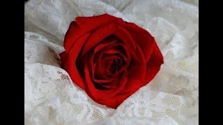 Mother(I&#39;ll Always Love You)