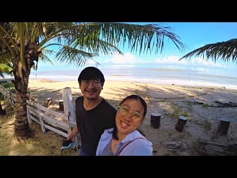 Exploring places in Miri Sarawak | Discover Lambir national park waterfall | Tim's seaside resort