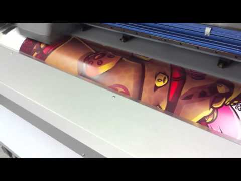 Arty Walrus for David Sossella