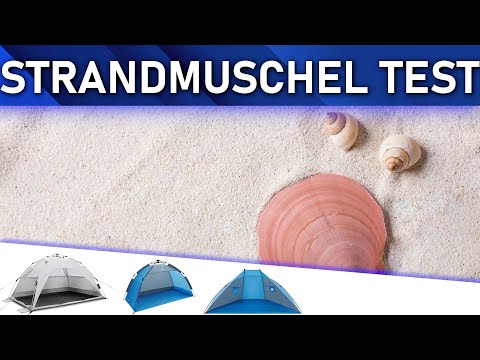 ➤ Strandmuschel Test 2025 | Die besten 3 Strandmuscheln