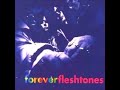 The Fleshtones - Push On Through