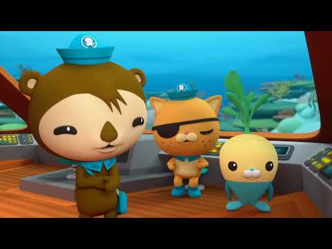 What About The Mango!?