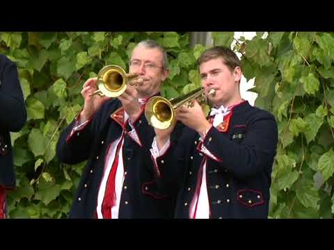 ŠOHAJKA - Kapelo hraj veselo