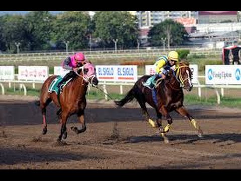 Copa Invitacional de Importados del Caribe 2015