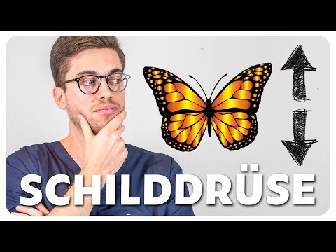 Schilddrüsenunterfunktion und Schilddrüsenüberfunktion - Doc Mo