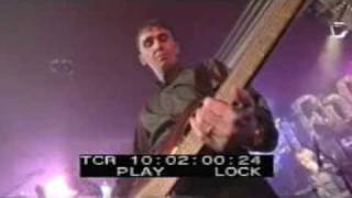 THE LEOPARDS Shoot Baby  Theme E