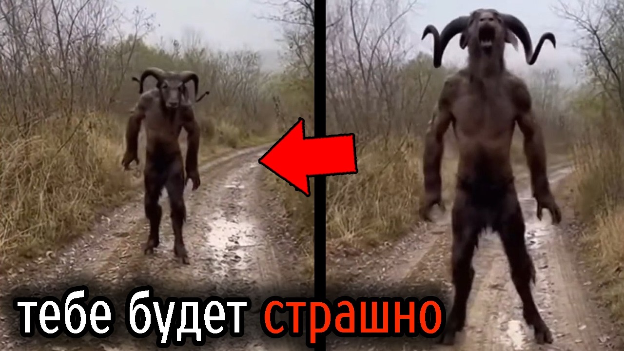 Самые Ужасные Видео со Всего Мира #141