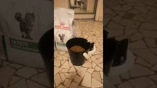 Giuliano ama le Satiety Weight Management 34