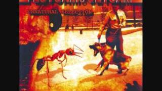 Flotsam and Jetsam - Chemical Noose