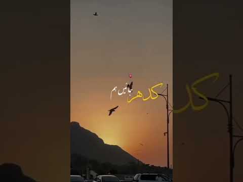 #islamicphrase #kaaba 💓💓💓💓💓💓💓💓💓💓💓💓💓💓